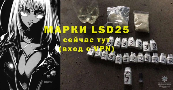 ПСИЛОЦИБИНОВЫЕ ГРИБЫ Баксан