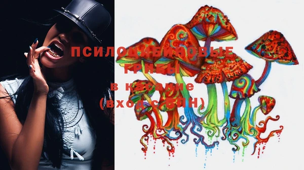 стафф Балахна