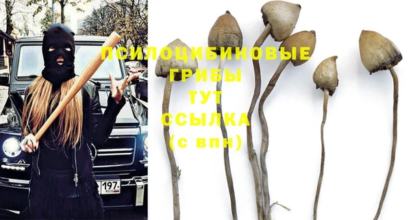 ПСИЛОЦИБИНОВЫЕ ГРИБЫ Баксан
