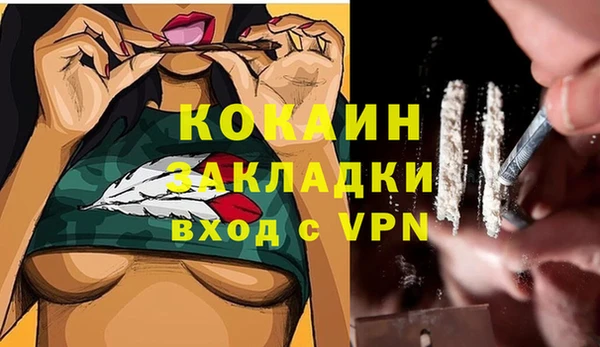 ПСИЛОЦИБИНОВЫЕ ГРИБЫ Баксан
