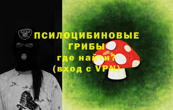 ГАЛЛЮЦИНОГЕННЫЕ ГРИБЫ Белоозёрский