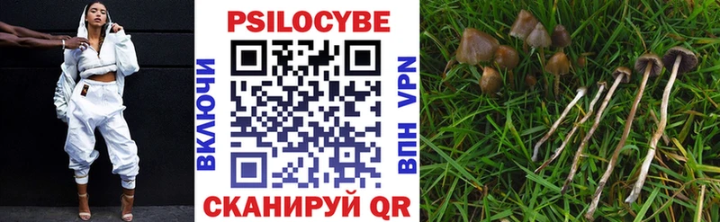наркотики  Невель  дарк нет наркотические препараты  Псилоцибиновые грибы Magic Shrooms 